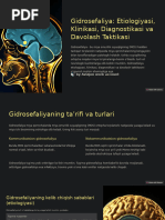 Fotosurat tasodifan kokragiga tushib qolgan.