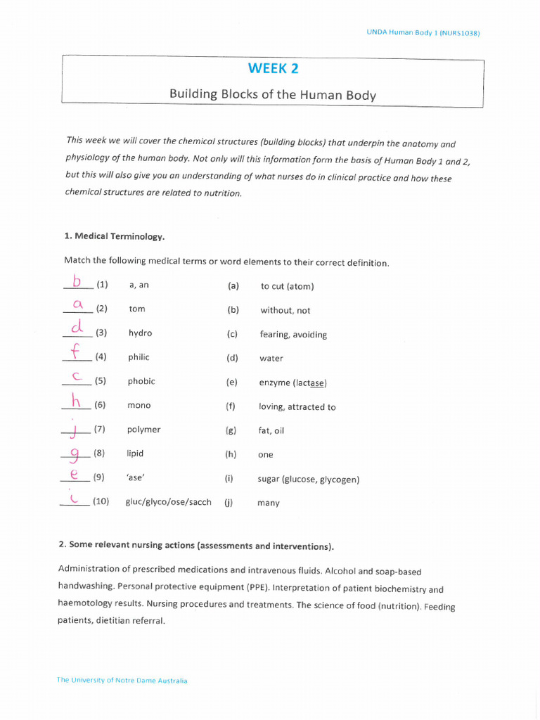 2024 Week 2 Tutorial Workbook Answers (Building Blocks) C | PDF