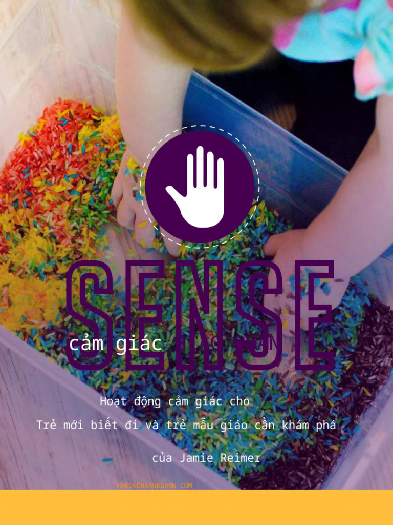 SENSE Ebook 1 | PDF