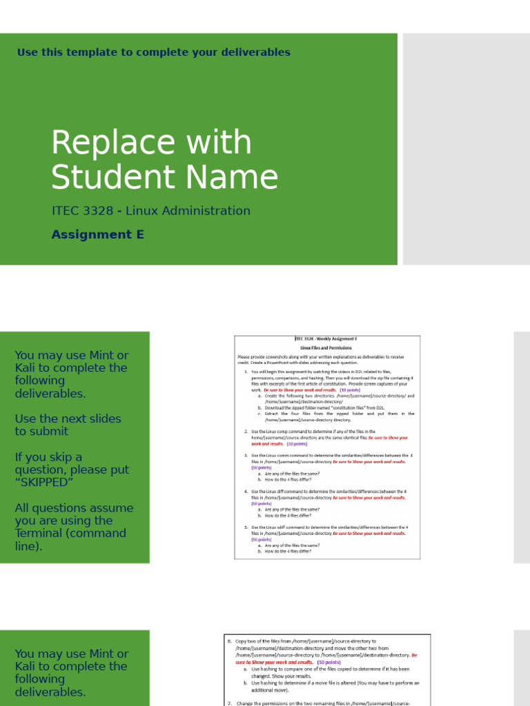 Assignment E Template | PDF | Software | System Software