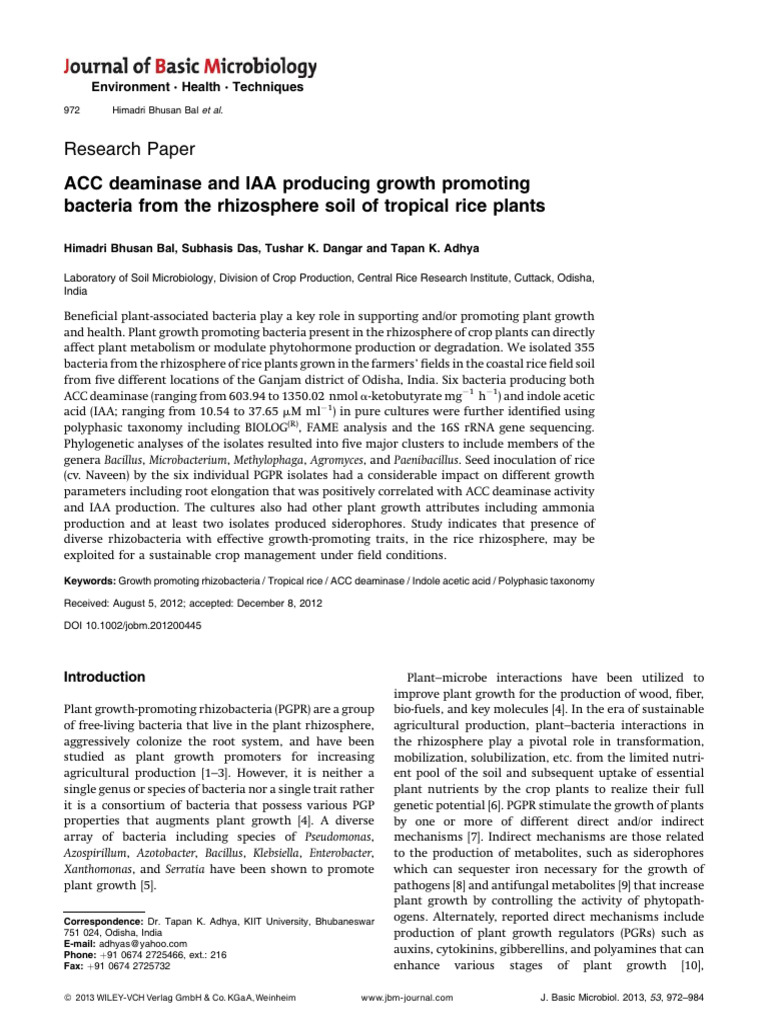 PGPR Bacteria in Tropical Rice Rhizosphere | PDF | 16 S Ribosomal Rna ...