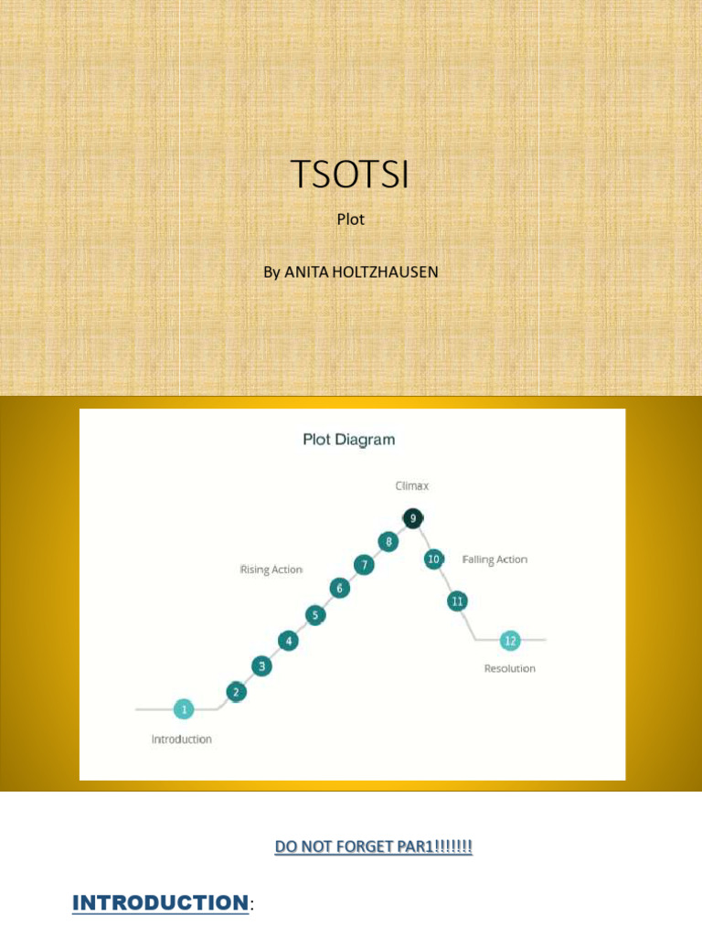 Tsotsi Novel Plot Analysis for Grade 11 | PDF