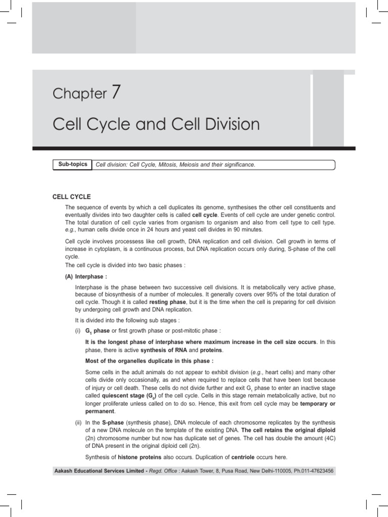 Understanding Cell Cycle and Division | PDF | Meiosis | Mitosis