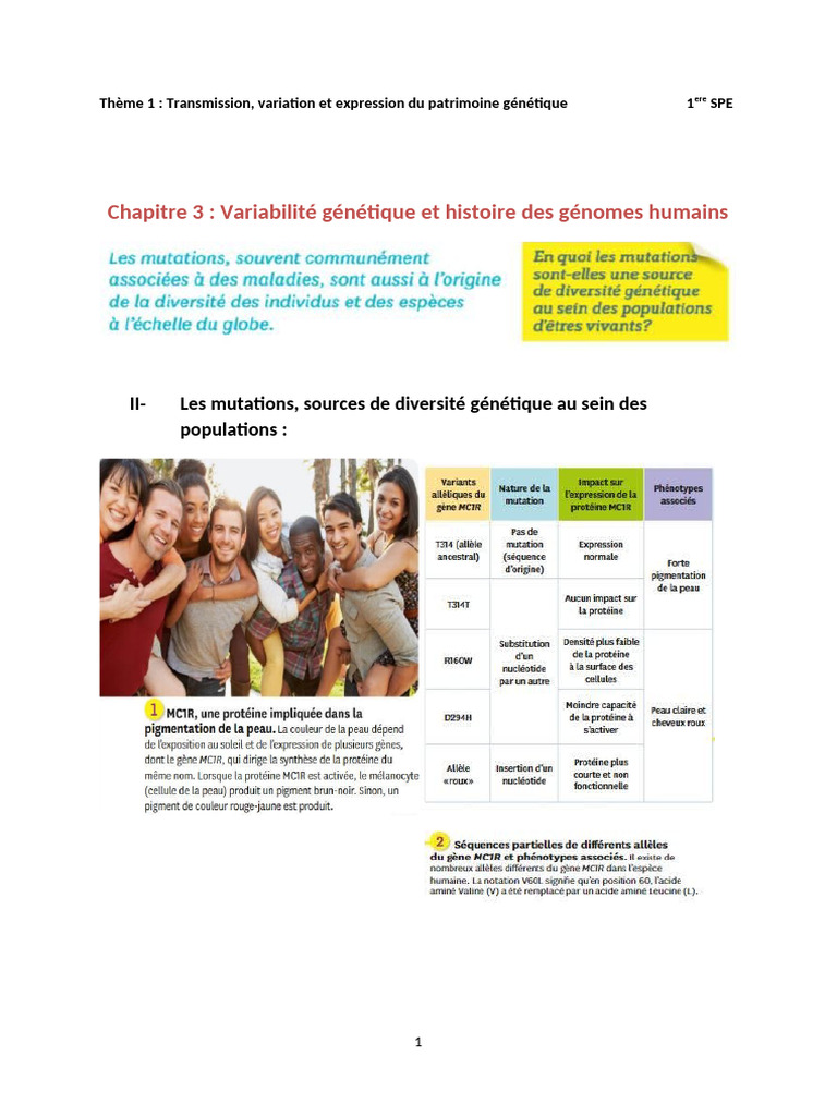 Variabilité génétique et histoire humaine | PDF