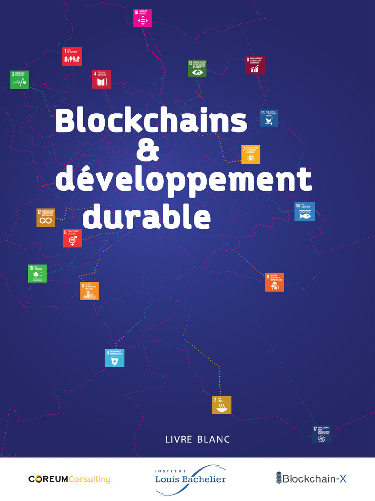 Livre Blanc Blockchains Developpement Durable | PDF | Développement durable  | Bitcoin