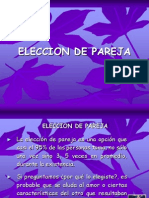 ELECCIONDEPAREJA