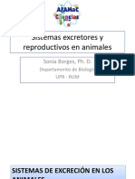 Sistemas Excretores y Reproductivos en Animales