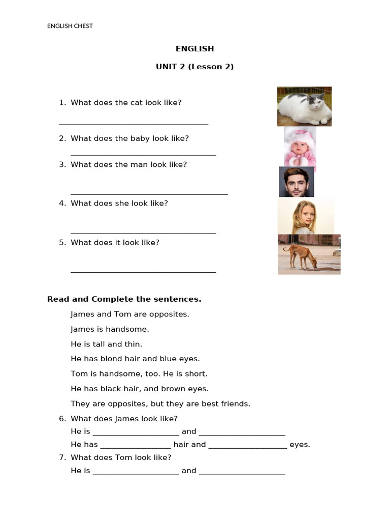 English Unit 2 Lesson 2 Pdf