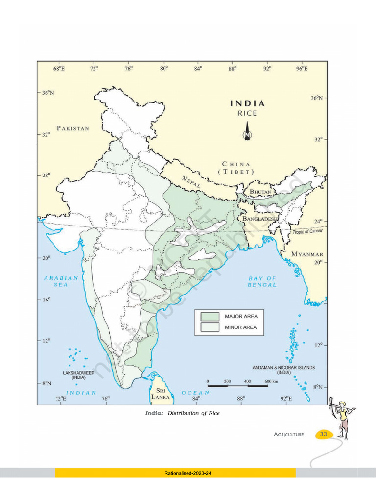 003 Distribution of Rice | PDF