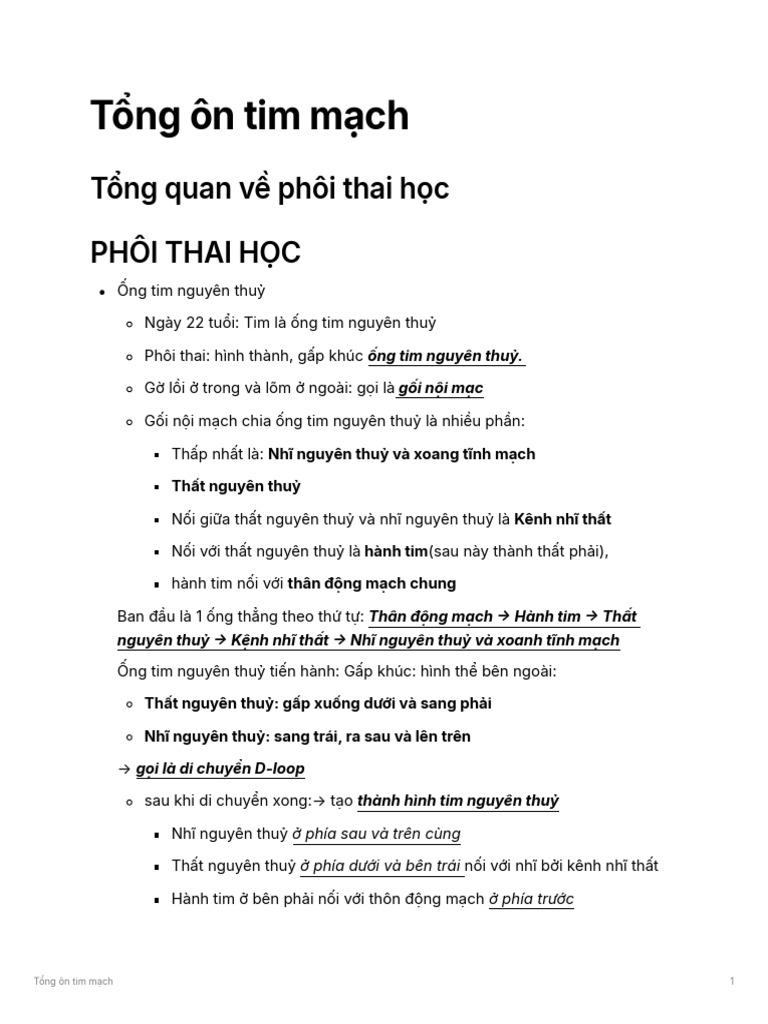 TNG N Tim MCH | PDF