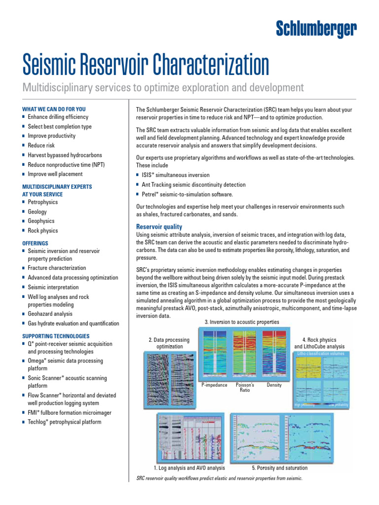 Seismic Reservoir Characterization Services | PDF | Petroleum Reservoir
