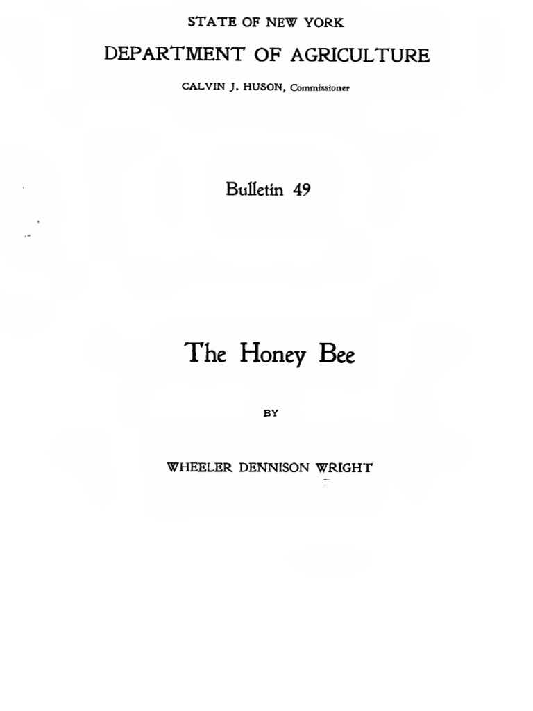 The Honey Bee | PDF | Beekeeping | Beehive