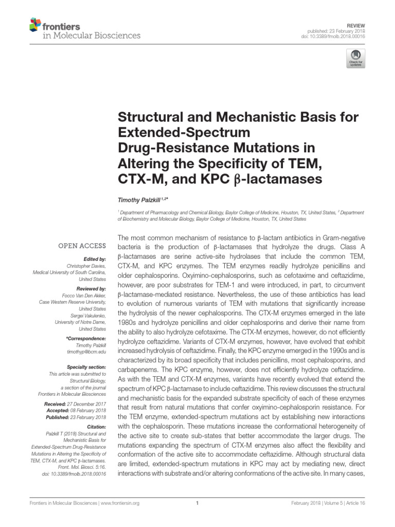 Structural and Mechanistic Basis For Extended Spectrum Specificity of ...