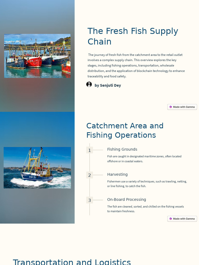 Fresh Fish Supply Chain Overview | PDF | Food Safety | Supply Chain