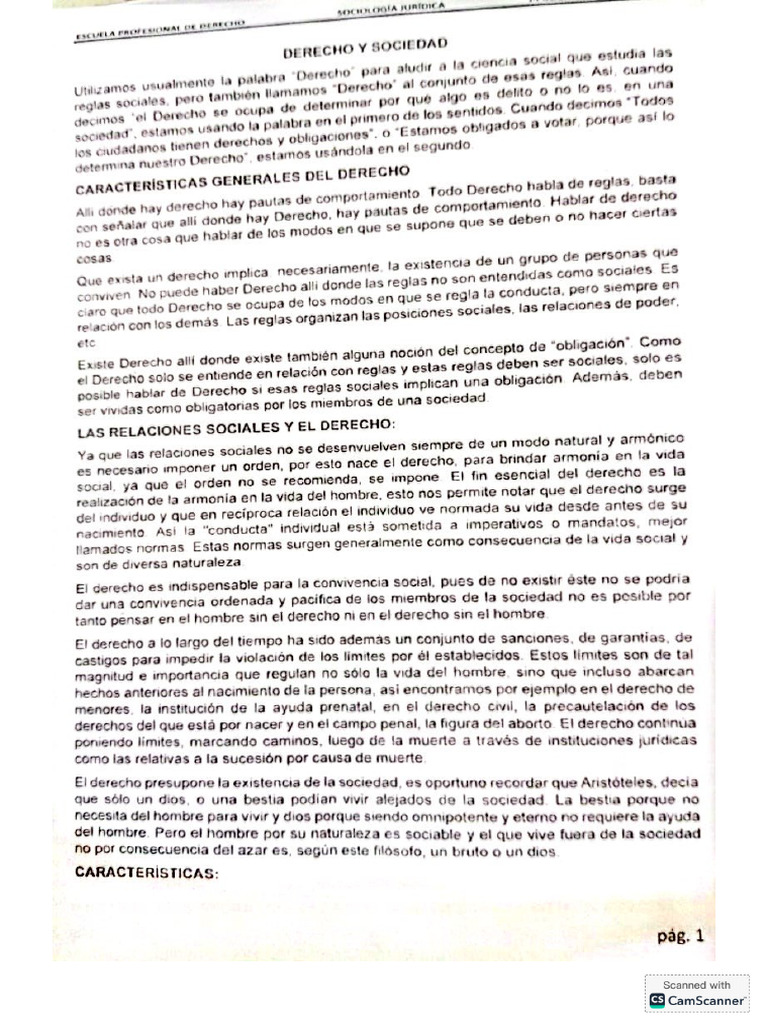 Derecho y Sociedad | PDF