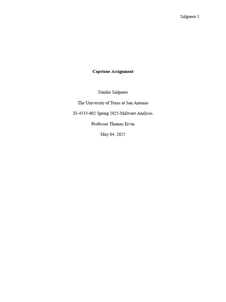 Salguero 1: Capstone Assignment | PDF | Encryption | Password