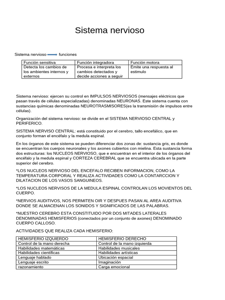 Funciones y Estructura del Sistema Nervioso | PDF | Sistema nervioso ...