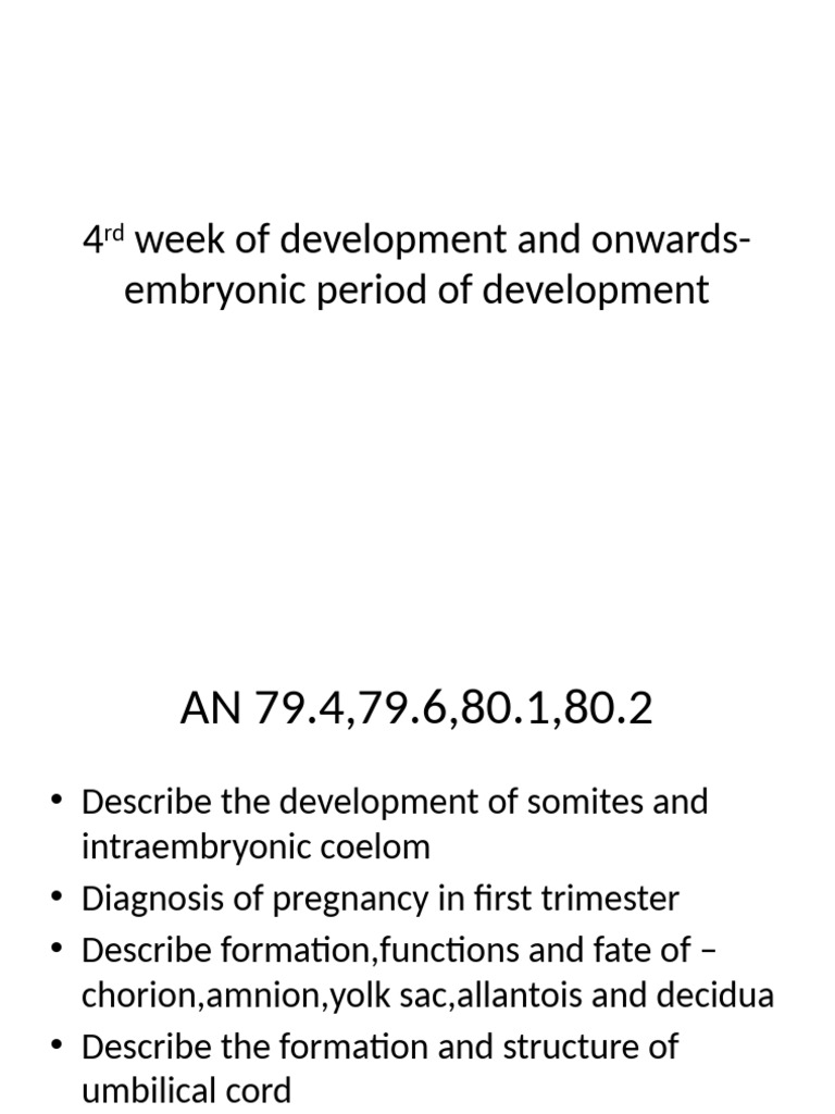 Embryonic Development: Weeks 4-8 Overview | PDF | Developmental Biology ...