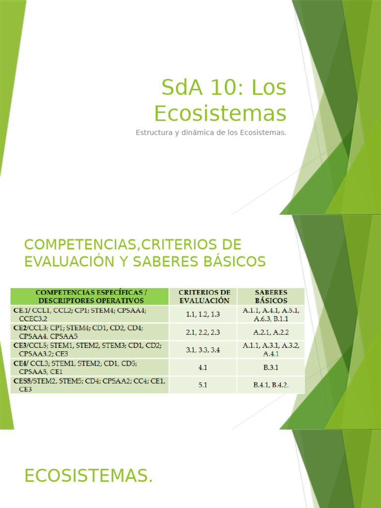 Estructura y Dinámica de Ecosistemas | PDF | Ecosistema | Ecología