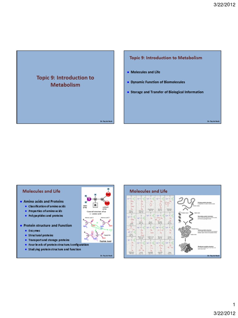 Topic 9: Introduction To Metabolism | PDF | Metabolic Pathway | Metabolism
