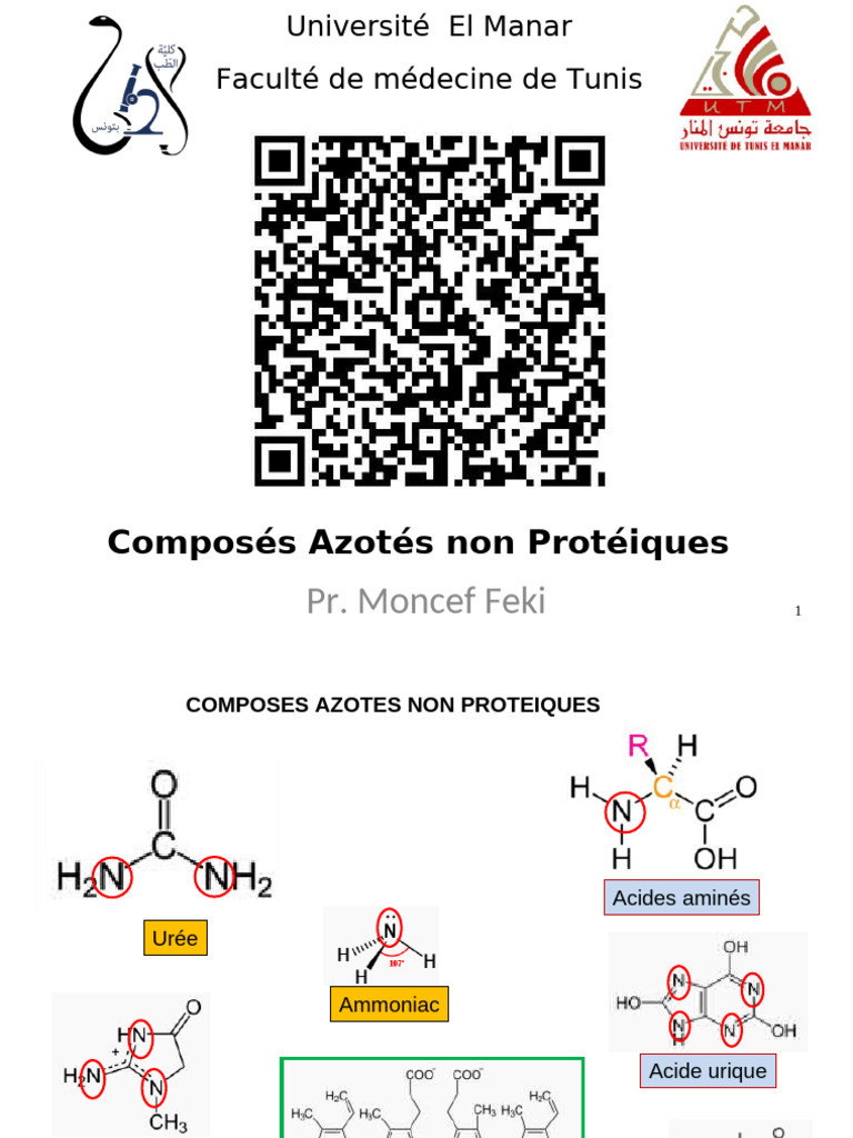 Composés Azotés Non Protéiques en Médecine | PDF | Goutte (maladie)