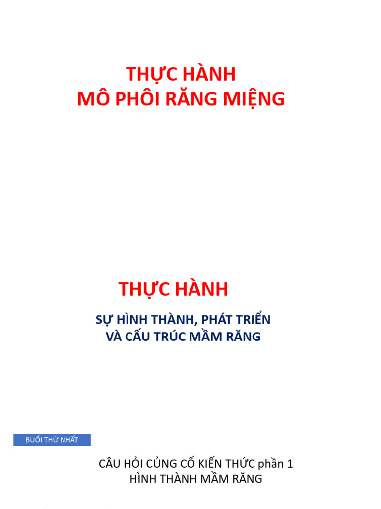 Thuc Hanh MPRM | PDF