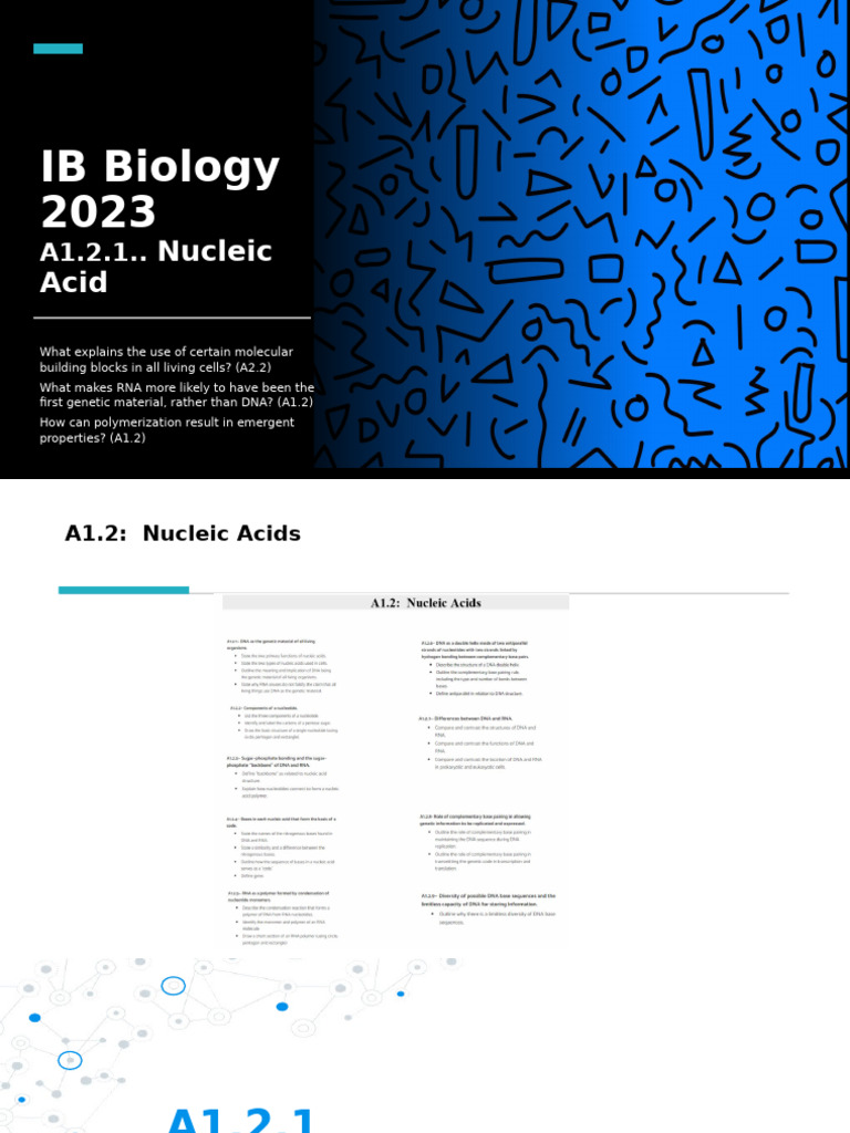 Nucleic Acids: DNA and RNA Functions | PDF | Nucleotides | Nucleic Acids
