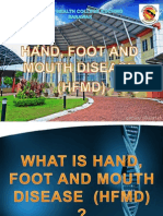 Hand Foot and Mouth Disease (HFMD)