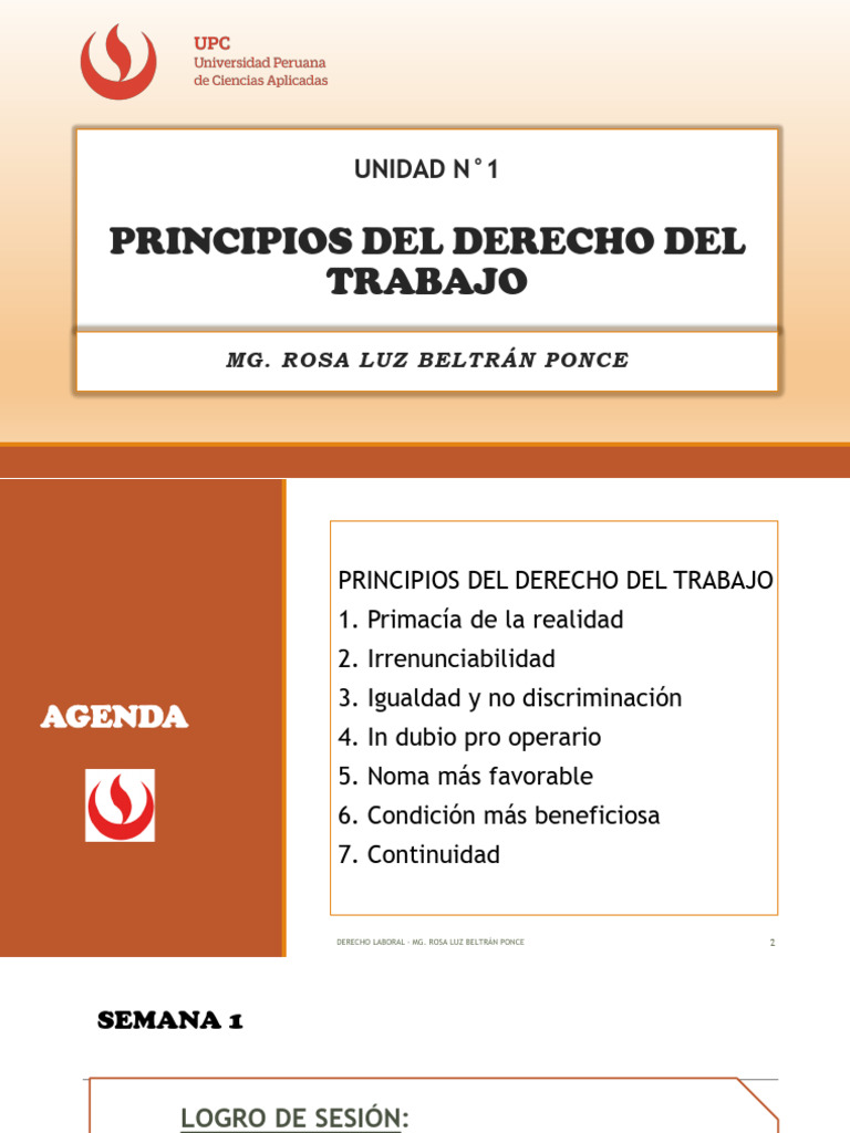 Principios del Derecho Laboral Explicados | PDF | Derecho laboral ...