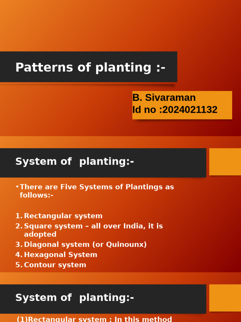 Planting Patterns for Effective Cultivation | PDF