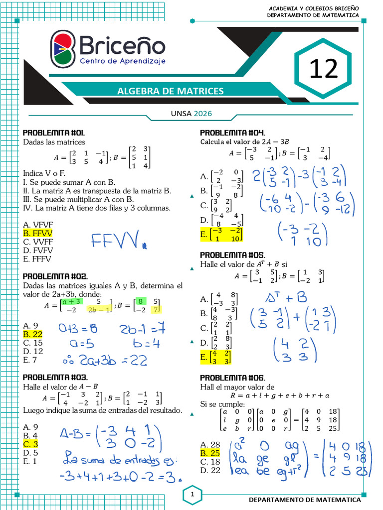 Algebra de Matrices Sol | PDF