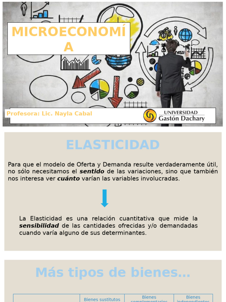 Clase | PDF | Elasticidad (economía) | Oferta y demanda