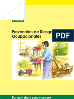 Prevencion de Riesgos