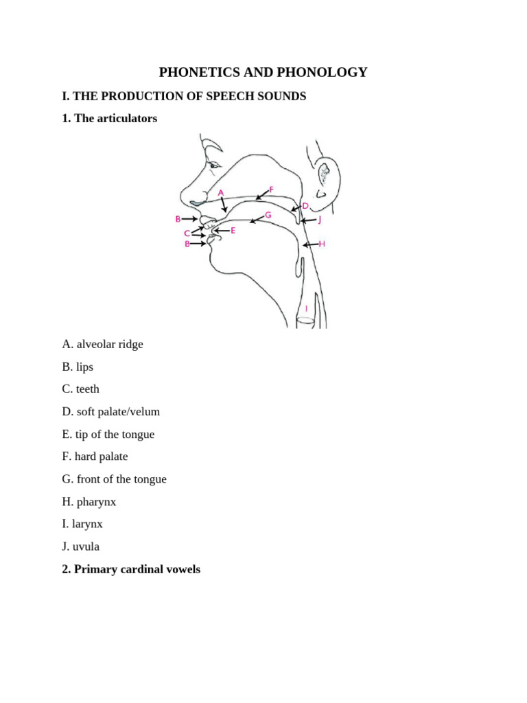 Phonetics and Phonology Overview | PDF | Syllable | Consonant