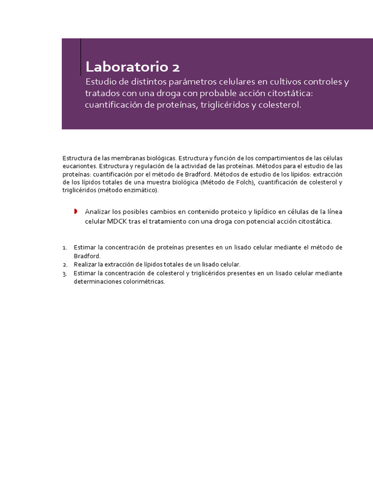 Guía TP 2 Final 2024 | PDF | Proteínas | Lípido