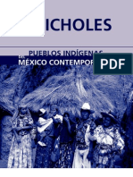 huicholes