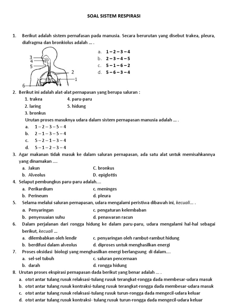 Soal Ulangan Harian Biologi Kelas Sebelas Materi Sistem Pernapasan