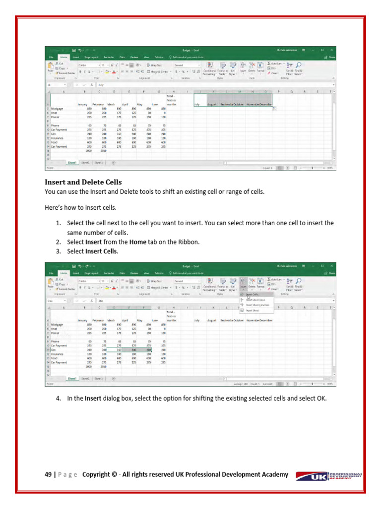 Excel 2016 Cell Management Guide | PDF | Microsoft Excel | All Rights ...
