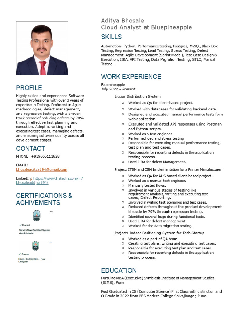 Software Testing Professional Profile | PDF | Software Testing | Computing