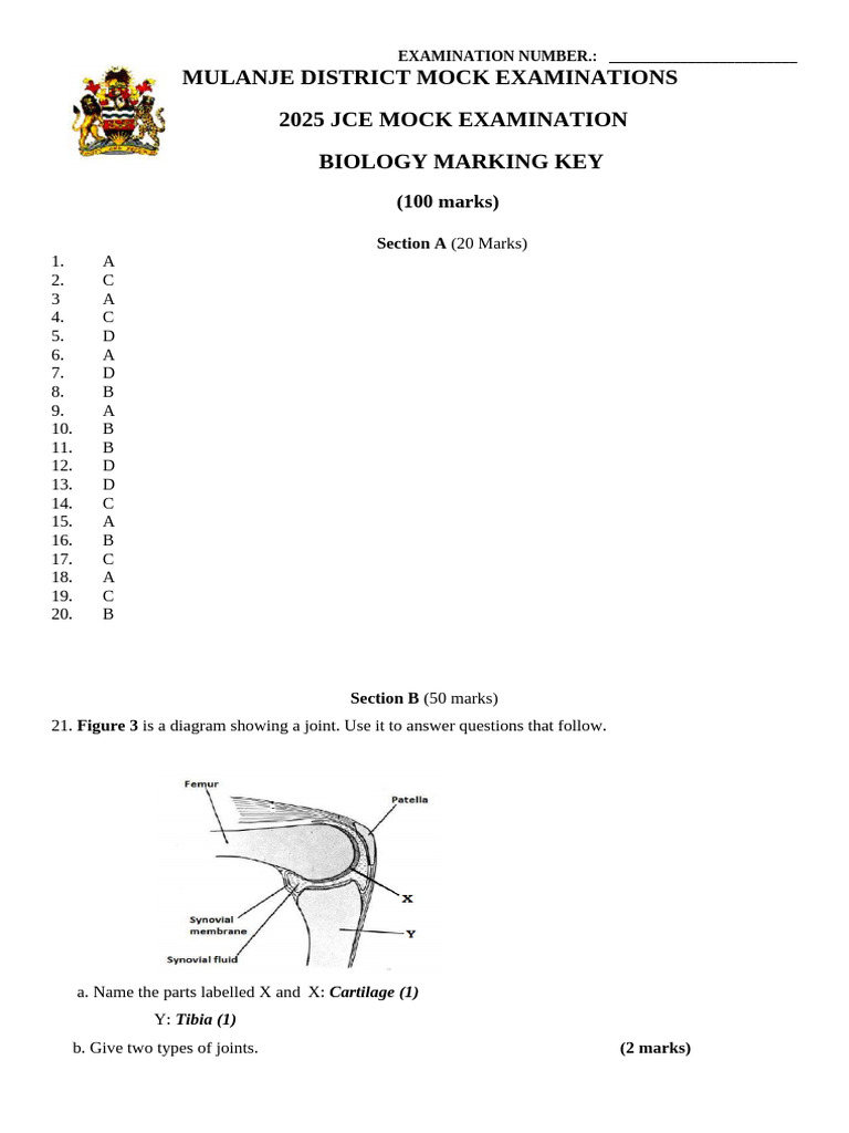 2025 Biology Mock Exam Marking Key PDF Human Body Blood