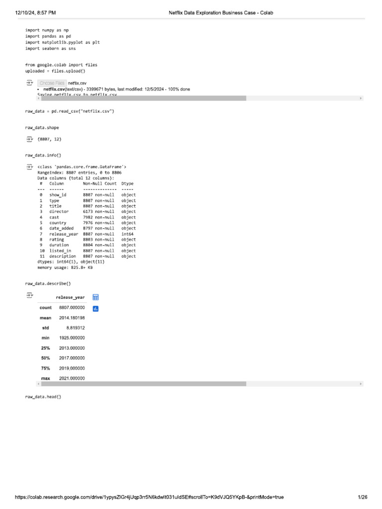 Netflix | PDF