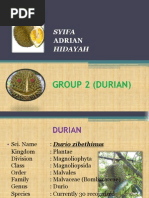 Download Group 2 Durian Final Edit by Syeefa Diella SN86860125 doc pdf