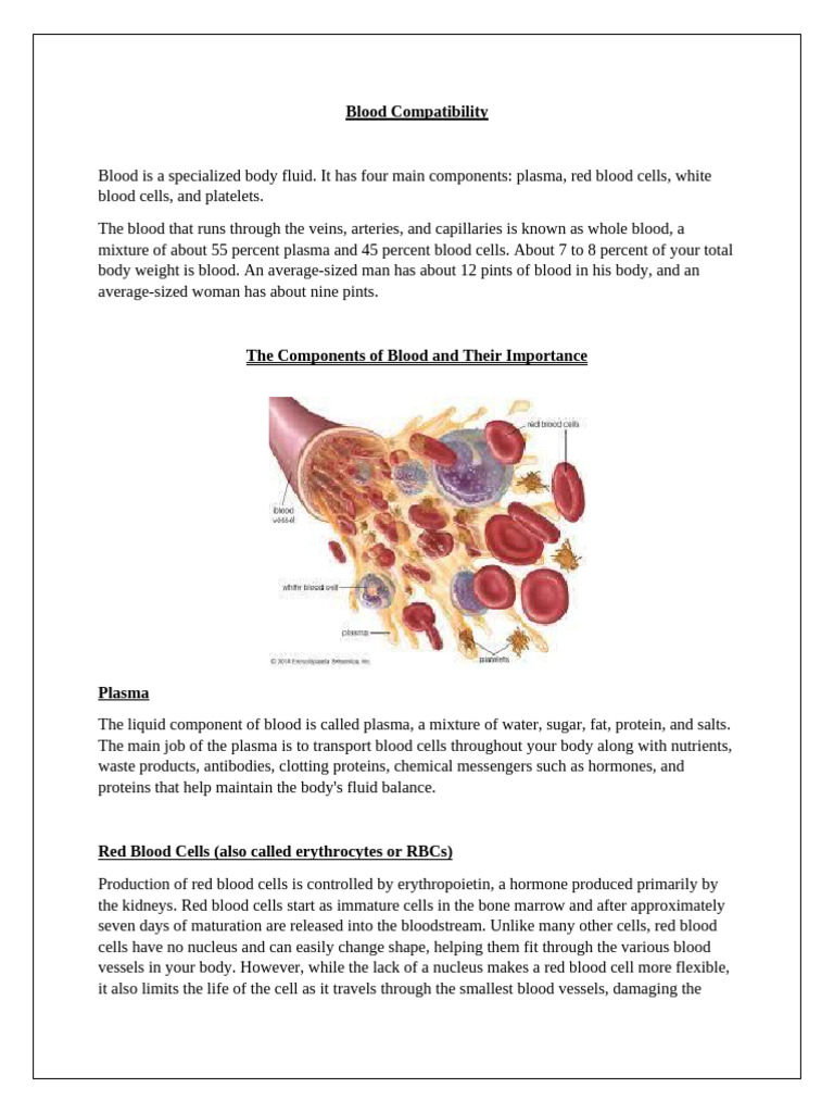 Blood Type Compatibility Overview | PDF | Blood Type | Blood