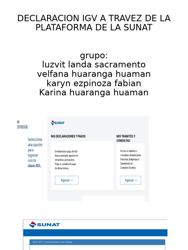 Declaracion Igv A Travez de La Plataforma de La Sunat | PDF
