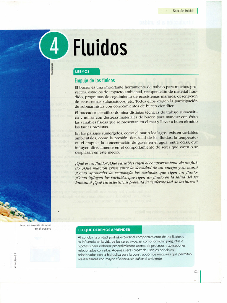 Los Fluidos | PDF