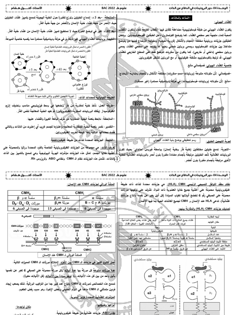 الوحدة 04 ج 01 (الذات واللاذات) الأستاذ كحول | PDF