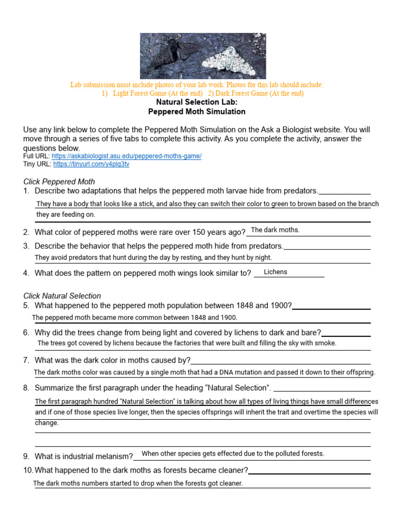 Kami Export - Lab 9 Natural Selection Lab | PDF | Biology | Zoology