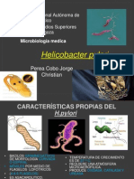 Download Helicobacter pylori  by Adelheint Bernstein SN86867585 doc pdf