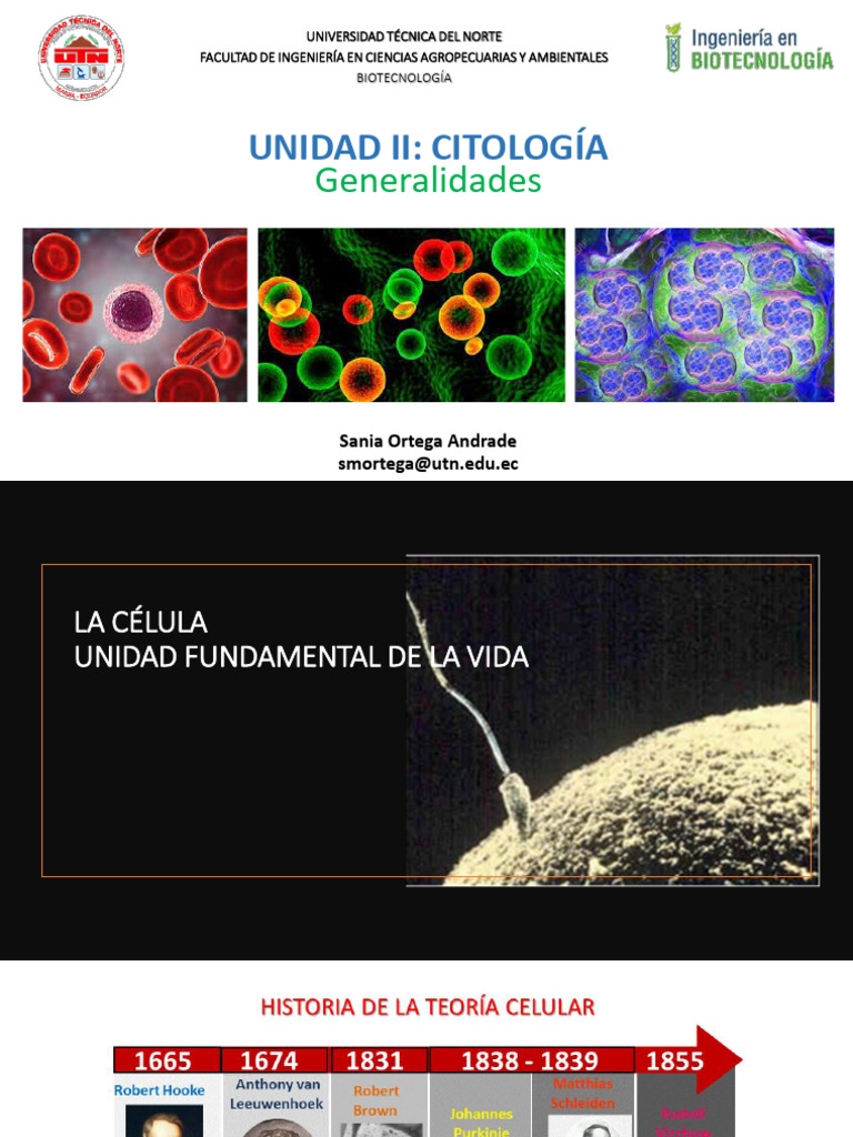 Unidad-Iiy III Citología | PDF | Mitosis | Nucleo celular