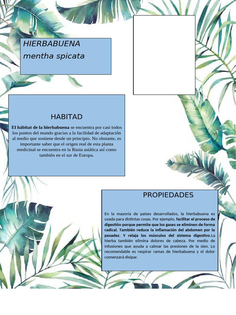 Hierva Buena | PDF